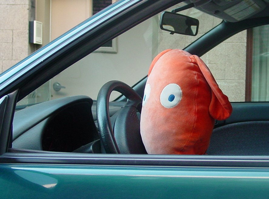 Monsieur Bun Driving