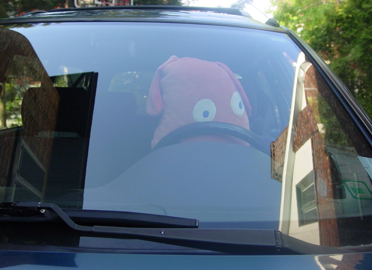 Monsieur Bun Driving