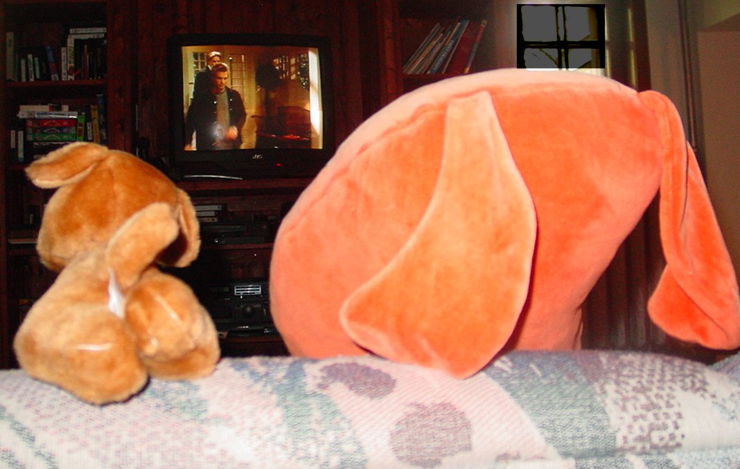 Plush TV View Viewing