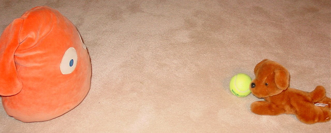 Monsieur Bun playing ball with Plush Pup