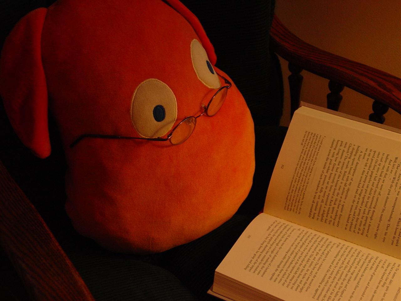 Monsieur Bun Reading